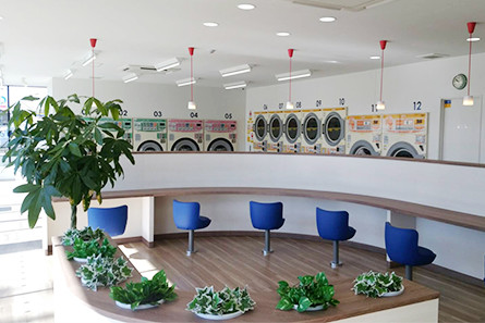 pic_laundry04