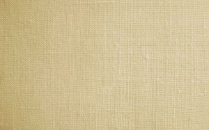 Indian-cotton1
