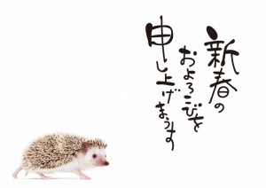 25e8480e7df62a638f7f2996c8cfbec1_s