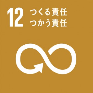 icn_sdgs_goals_12